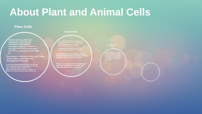About Plant and Animal Cells by Hannah Fulmer on Prezi