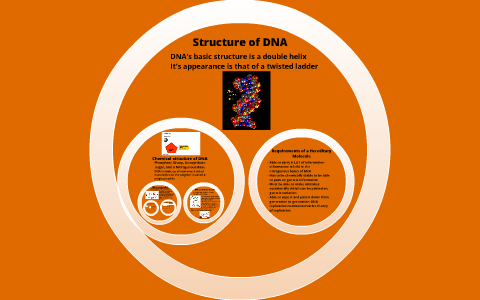 DNA - Visual Structure Project by Jeffrey Win on Prezi