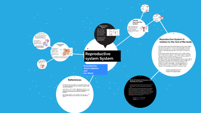 Respiratory System by Erick Calderon on Prezi