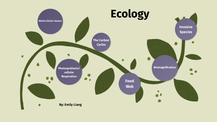 Ecology Mindmap by Emily Liang on Prezi