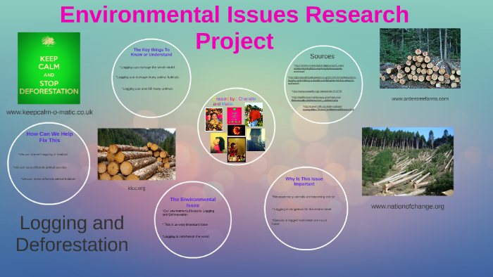 environmental problems research project