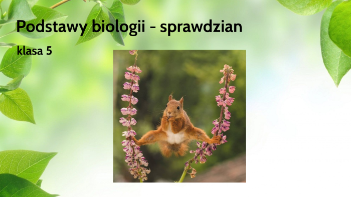 Sprawdzian Z Biologii Podstawy Biologii Chomikuj