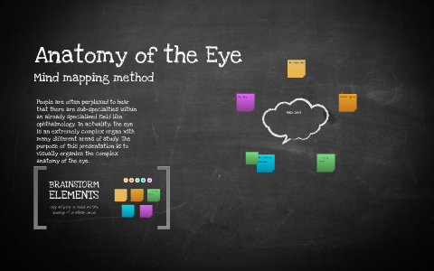 Anatomy of the Eye by on Prezi