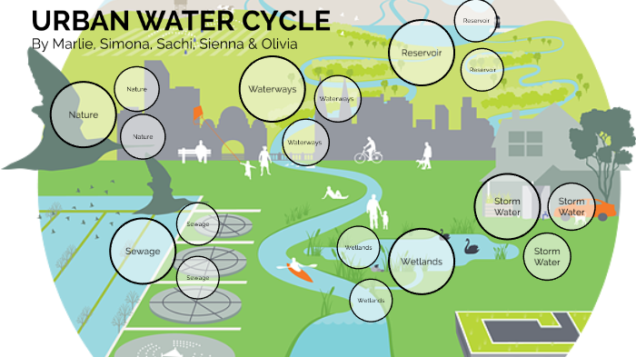 urban-water-cycle-by-marlie-ryan