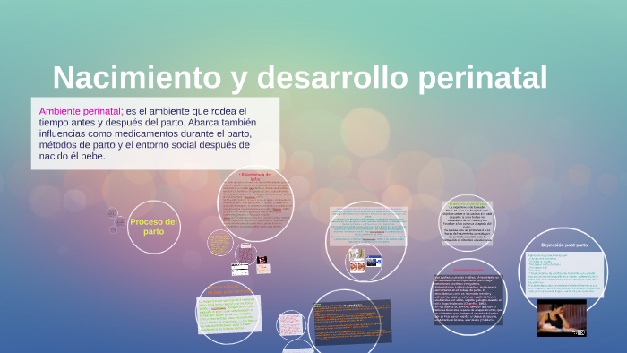 Nacimiento Y Desarrollo Perinatal By Estefania Rosiles On Prezi