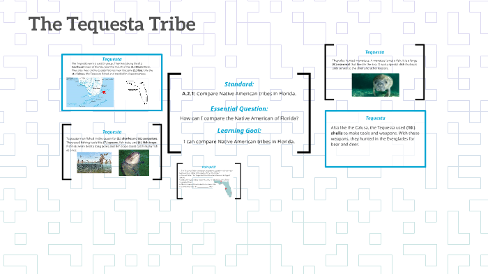 The Tequesta Tribe by Chelsea Conley on Prezi