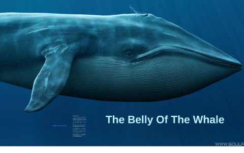 The Belly Of The Whale by Kelly K.