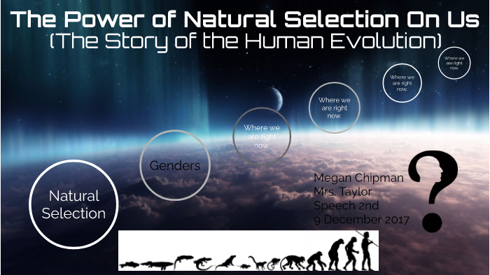 The Story of Human Evolution by Megan Chipman on Prezi