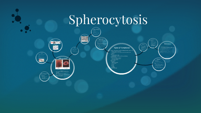 Spherocytes by Lacy Anne