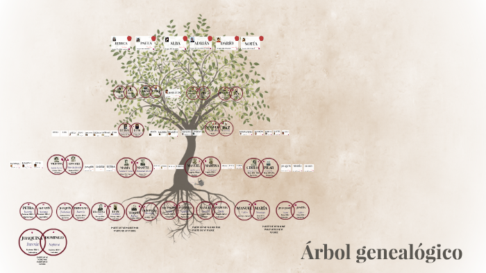 Arbol Genealogico By Alba M A prezi