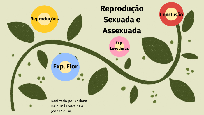 Reprodução Sexuada E Assexuada By Adriana Belo On Prezi