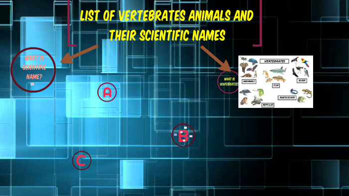 List of Vertebrates Animals and their Scientific Names by jay calimutan