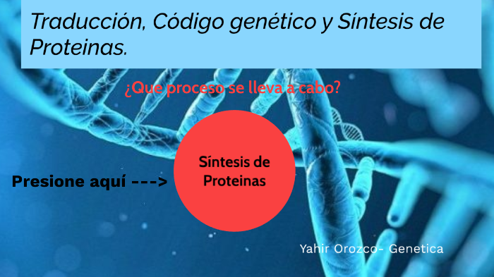 Traducción Código Genético Y Síntesis De Proteínas By Yahir Gabriel Orozco Garcia On Prezi