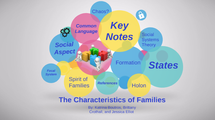 characteristics of social systems theory
