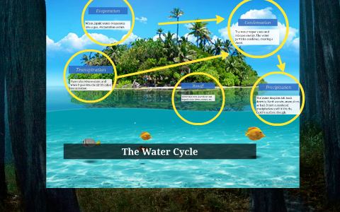 The Water Cycle by Sarah Heckman on Prezi