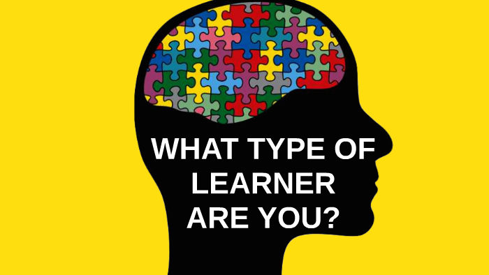 what type of learner are you essay