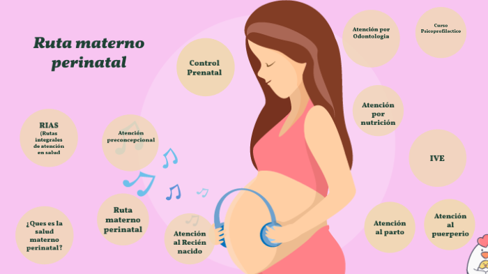 Ruta Materno Perinatal By Solangie Portilla Ortega On Prezi 9401