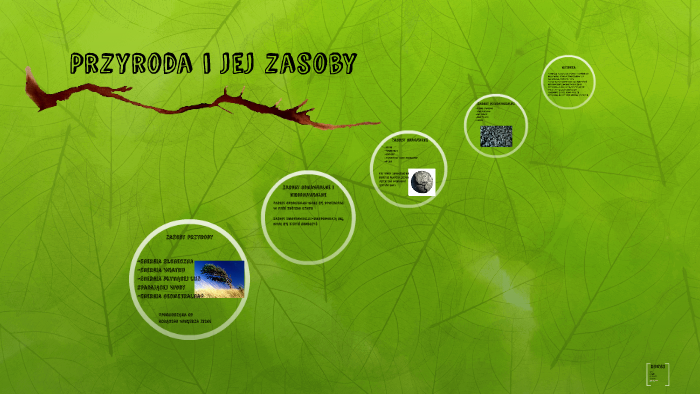 Przyroda Sprawdzian Klasa 6 Przyroda I Jej Zasoby