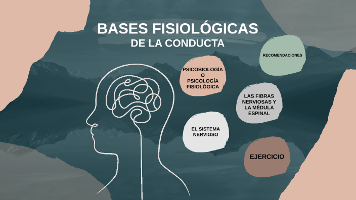 Bases fisiológicas de la conducta by Zuzia Ka on Prezi