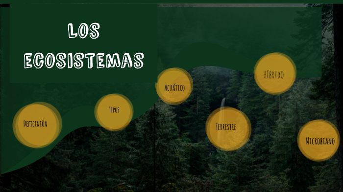 los Ecosistemas by valery Montoya Dominguez on Prezi