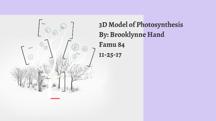 3d Model Of Photosynthesis By Brooklynne Hand