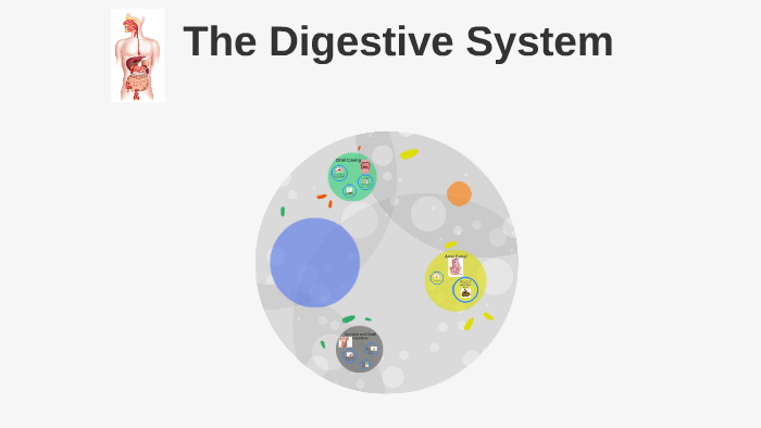 The Digestive System by Nicole Cruz on Prezi