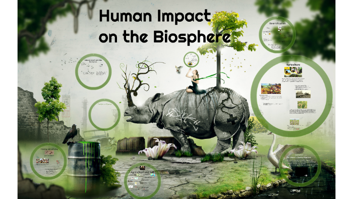 humans-in-the-biosphere-biology-quiz-quizizz