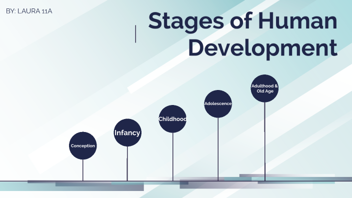 Stages of Human Development by Laura Rodrigo on Prezi