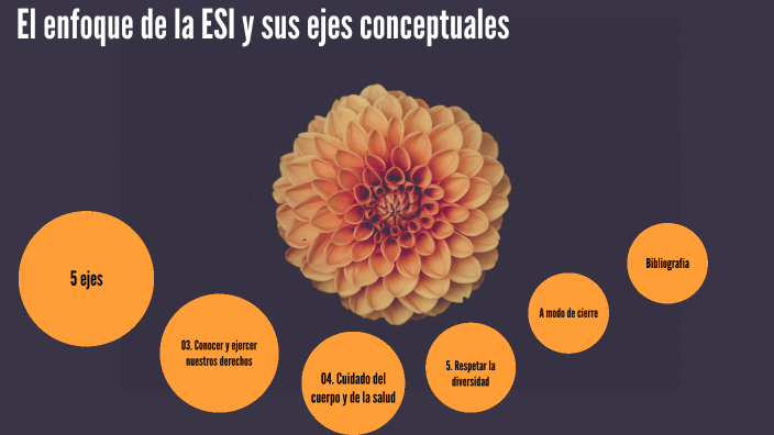 El enfoque de la ESI y sus ejes conceptuales by Vicky weyermann on Prezi