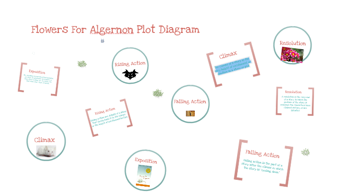 Algernon Plot Diagram By Melanie Barnes