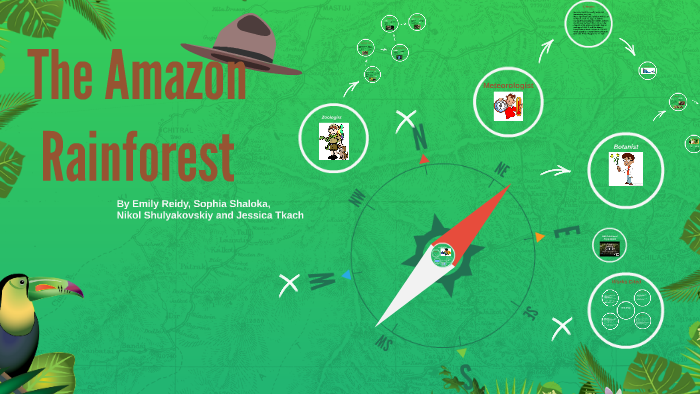 The Amazon Rainforest by jessica tkach on Prezi