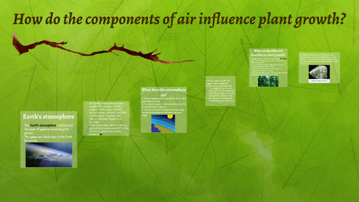 What Is The Components Of Air