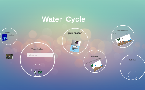 The Water Cycle by m o on Prezi