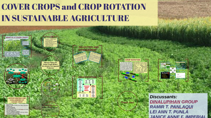 COVER CROPS and CROP ROTATION IN SUSTAINABLE AGRICULTURE by Catheryn ...