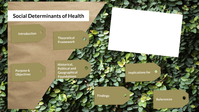 Social Determinants of Health - COVID-19 by Kathryn Dao on Prezi