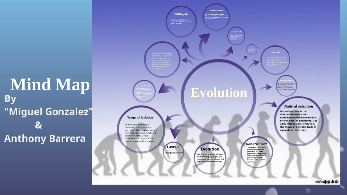 MInd map by miguel gonzalez on Prezi