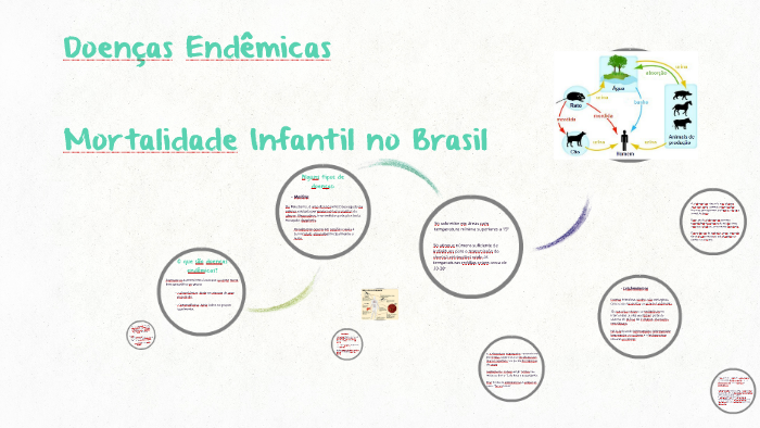 Doenças Endêmicas no Brasil by Larissa Barbosa on Prezi