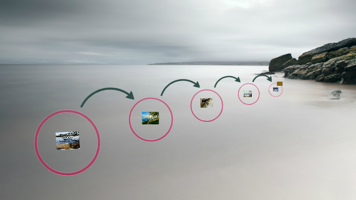 ecological excursion project by Anastasiya Pilenko on Prezi