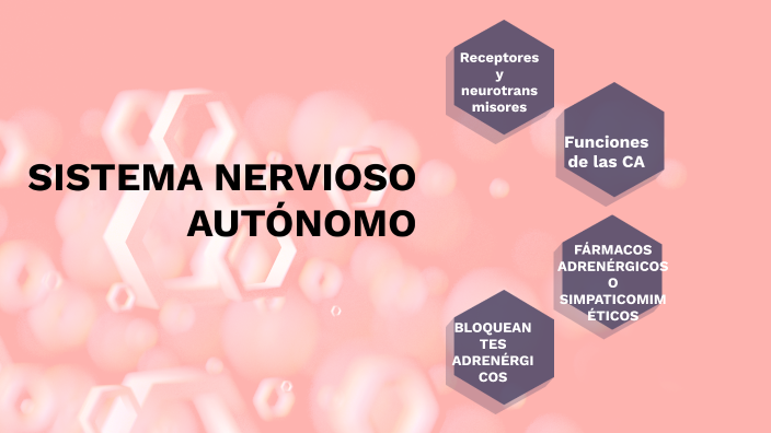 SISTEMA NERVIOSO by Frida Guachalla Morón on Prezi