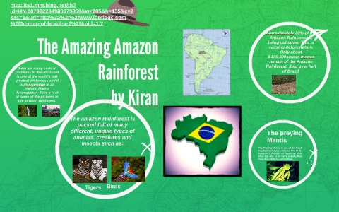 The Amazing Amazon Rainforest by U2 Class on Prezi