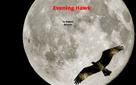 evening hawk robert penn warren analysis