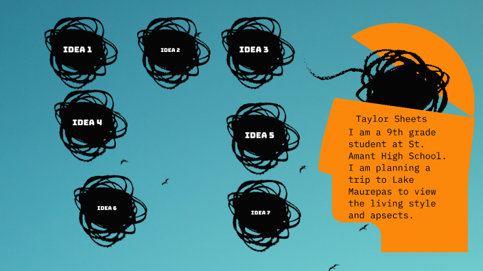 by TAYLOR SHEETS on Prezi