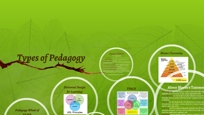 Types Of Pedagogy By Dianna Ford On Prezi