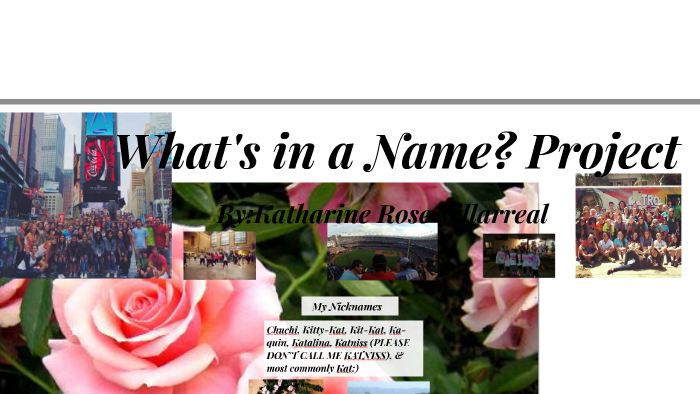 What s In A Name Project By Kat Villarreal