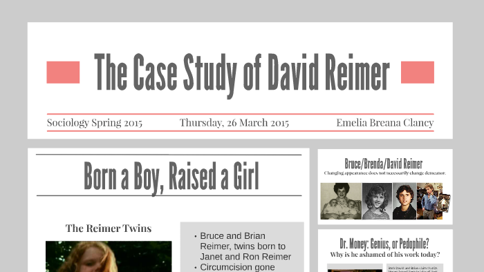 david reimer case study summary