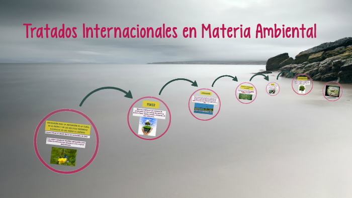 Tratados Internacionales en Materia Ambiental by Digna Gimenez