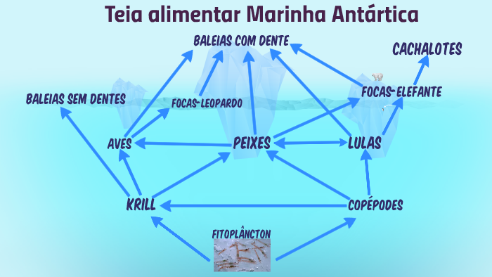 teia alimentar marinha rotulada