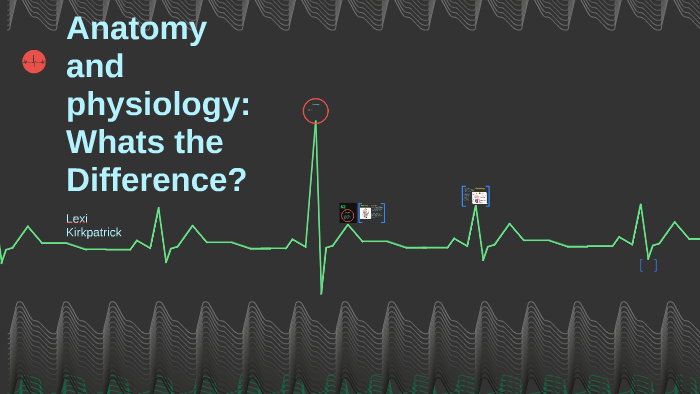 Anatomy And Physiology: Whats The Difference? By Lexi Kirkpatrick