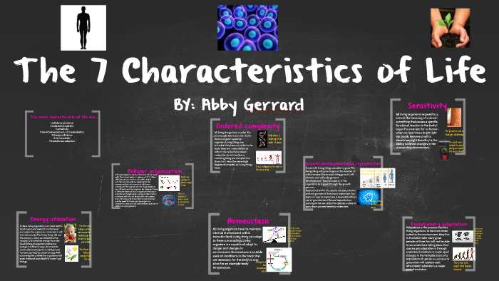 the-7-characteristics-of-life-by-abby-gerrard