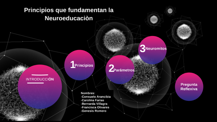 principios que fundamentan la neurociencia by genesis romero calderon ...